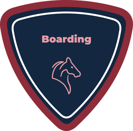 Boarding shield