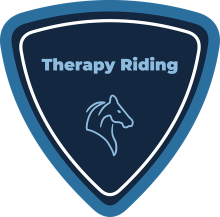 Therapy Riding shield