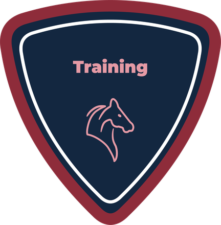 Training shield